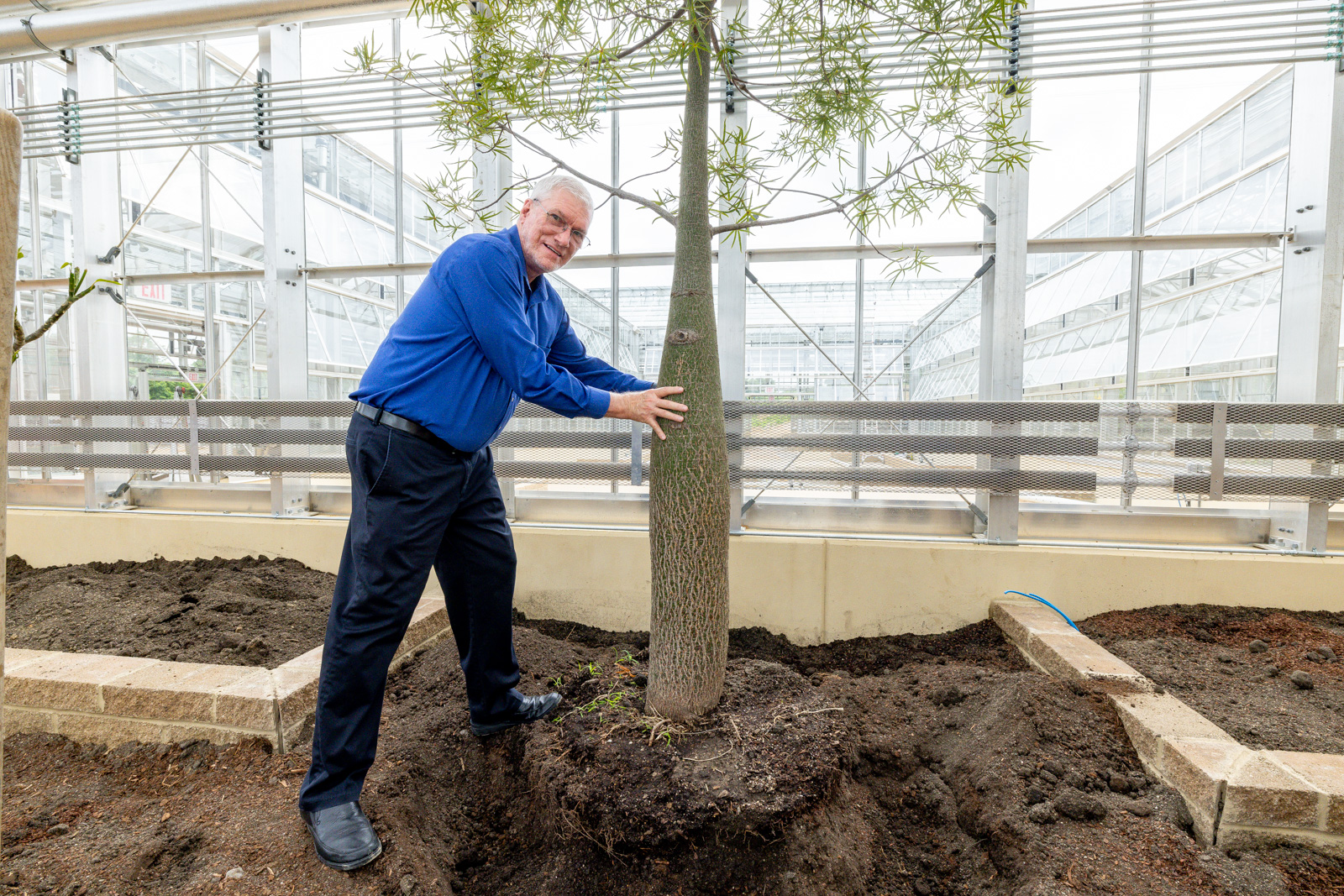 Ken and Mally's Bottle Tree Move to the Conservatory