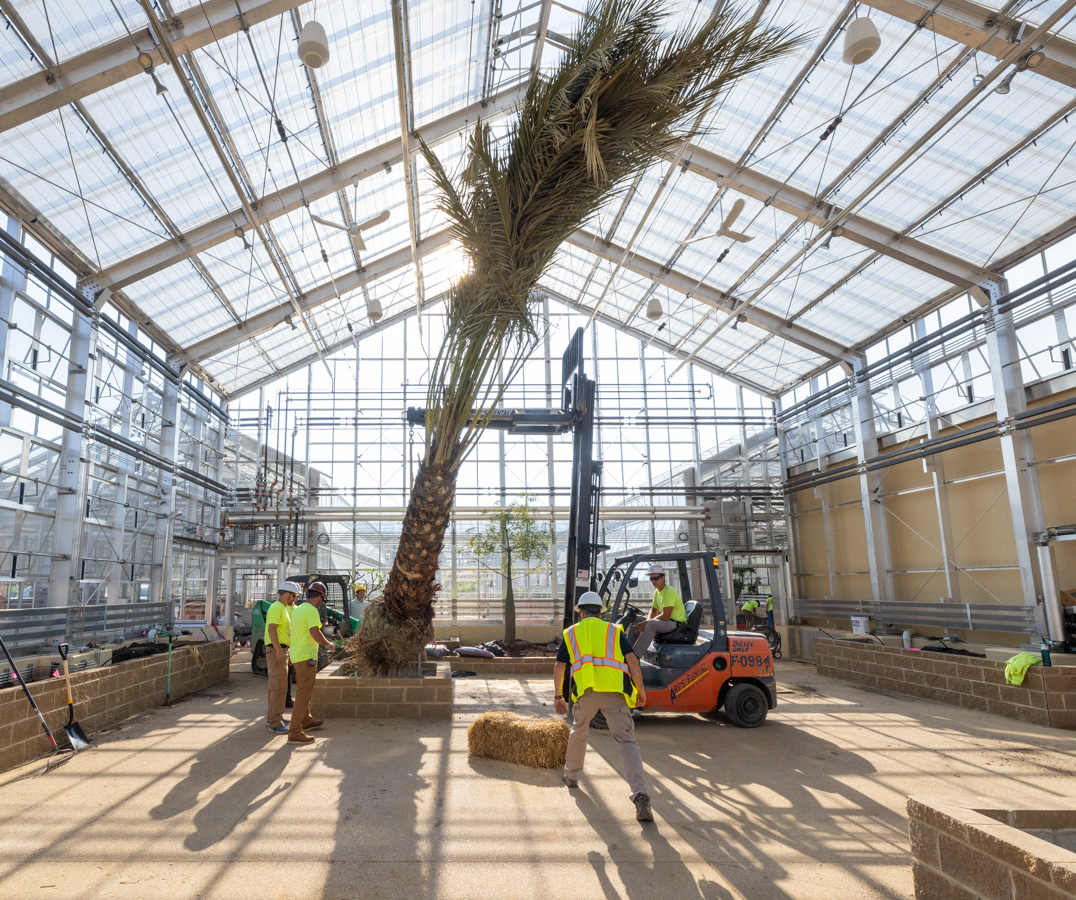 Conservatory Plant Shipment