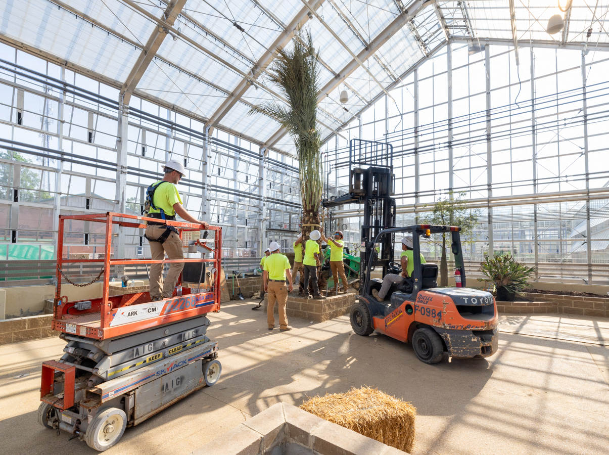 Conservatory Plant Shipment