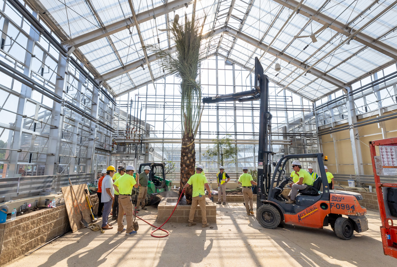 Conservatory Plant Shipment