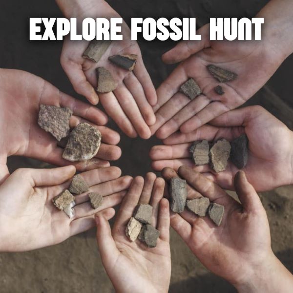 Explore Excursion: Fossil Hunt