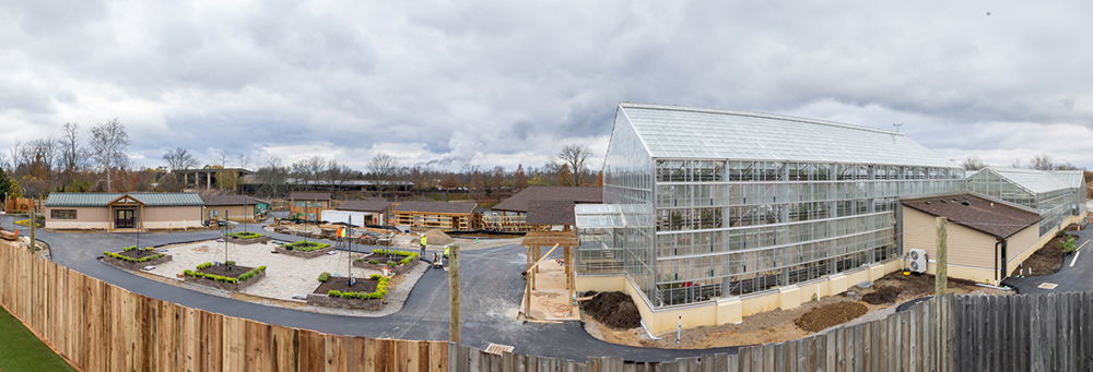 Plants of the Bible Conservatory