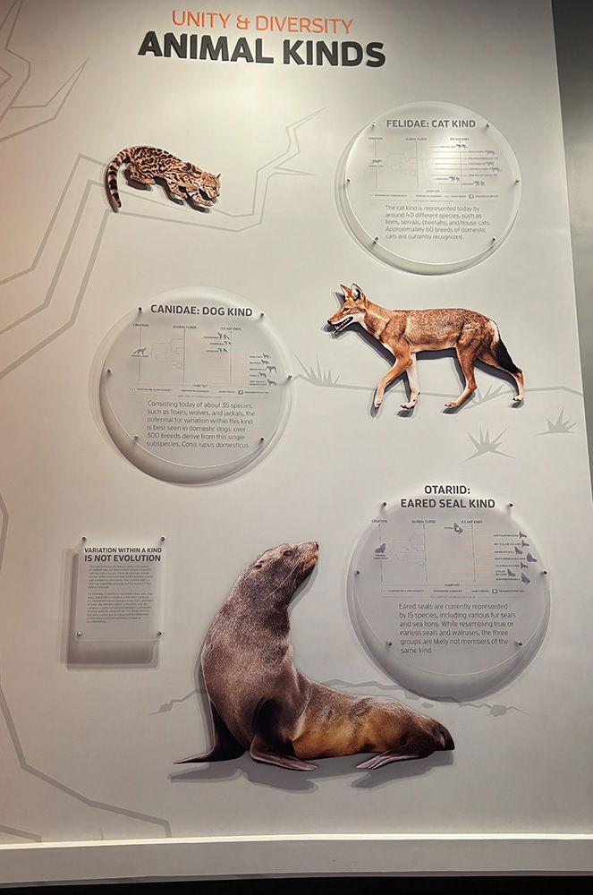 Starting Points Exhibit: Unity & Diversity Animal Kinds