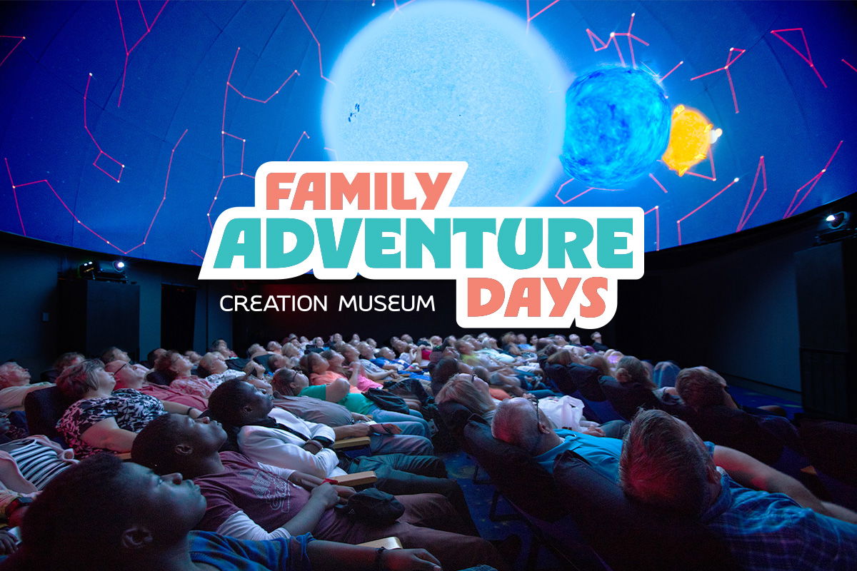 Family Adventure Days