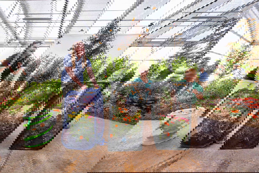 Butterfly House