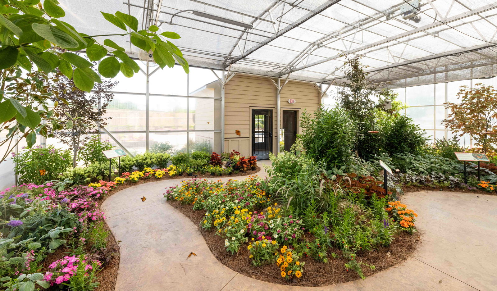 Butterfly House