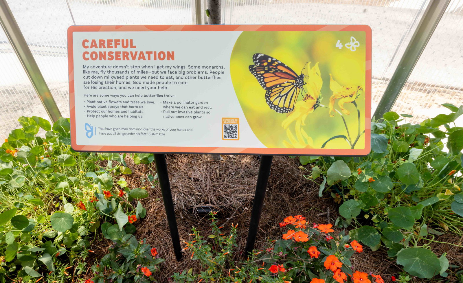 Butterfly House Now Open