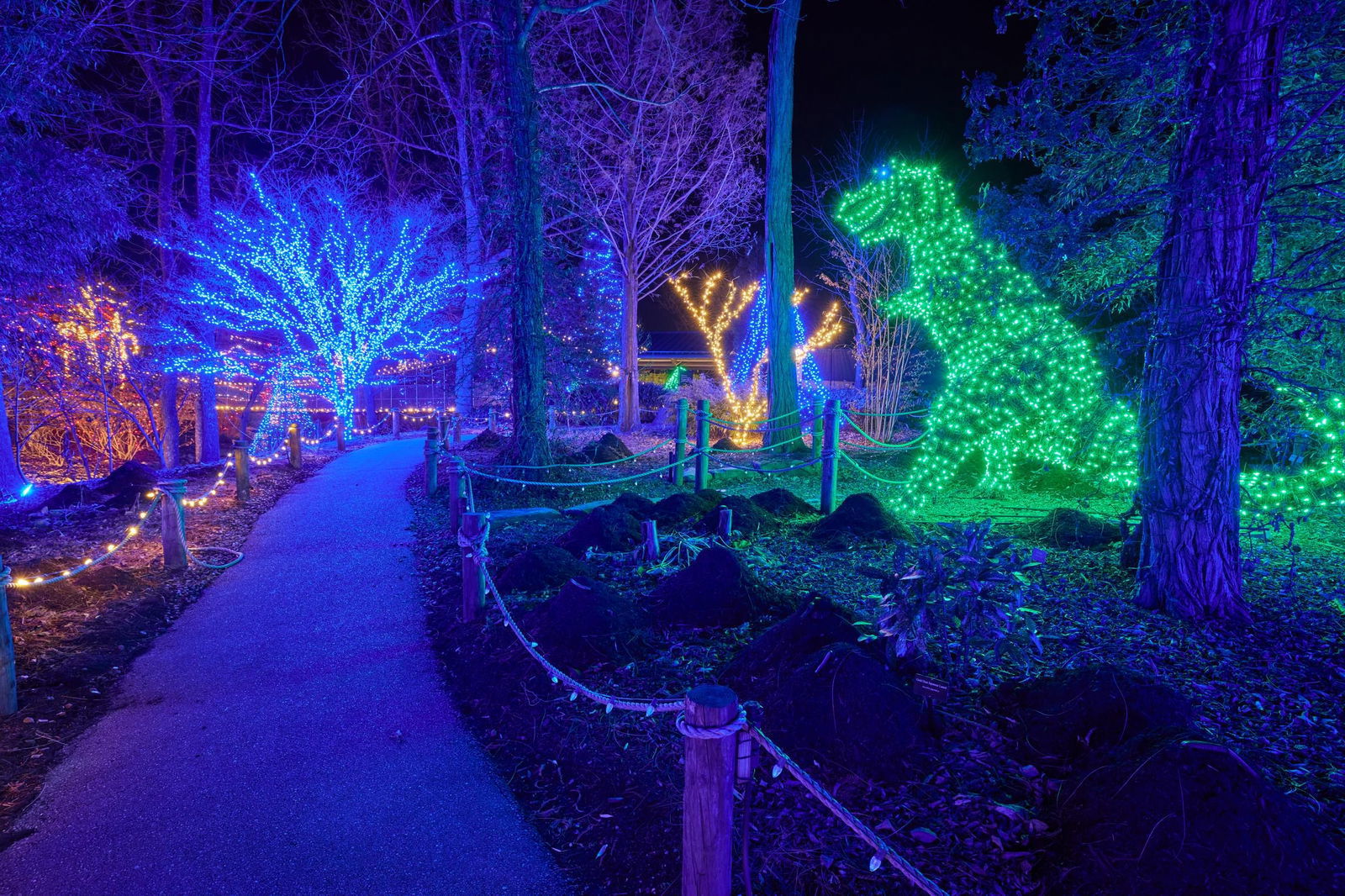 Christmas at the Creation Museum