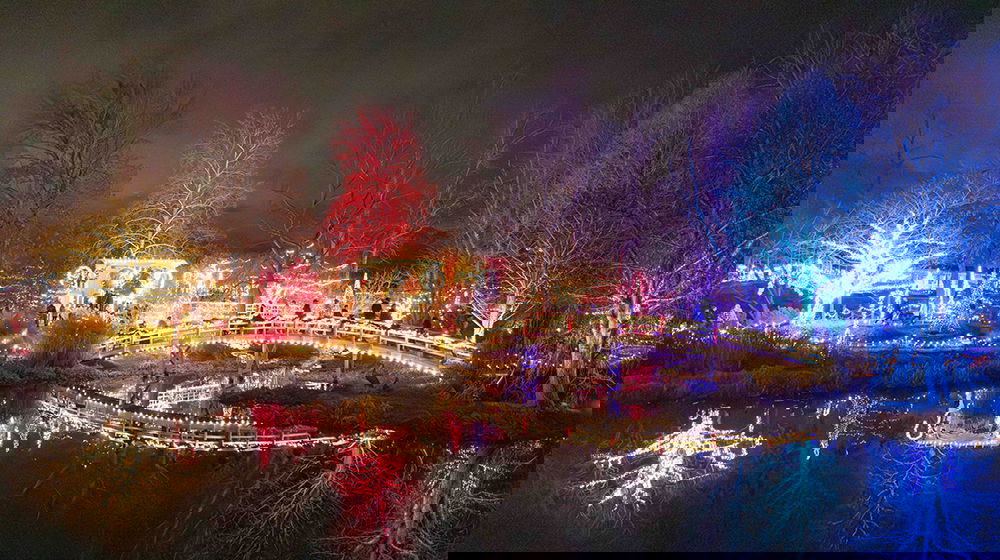 Christmas at the Creation Museum