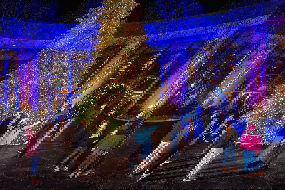 Christmas at the Creation Museum