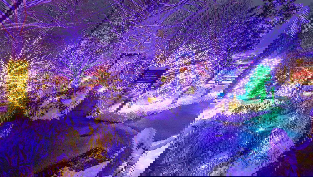 Christmas at the Creation Museum