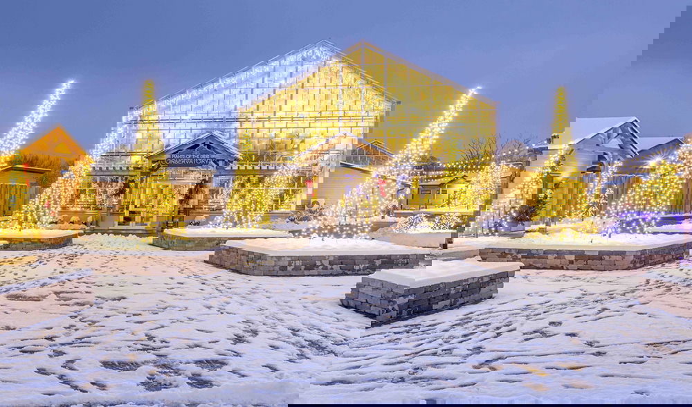 Christmas at the Creation Museum