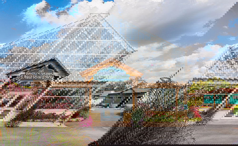 Plants of the Bible Conservatory