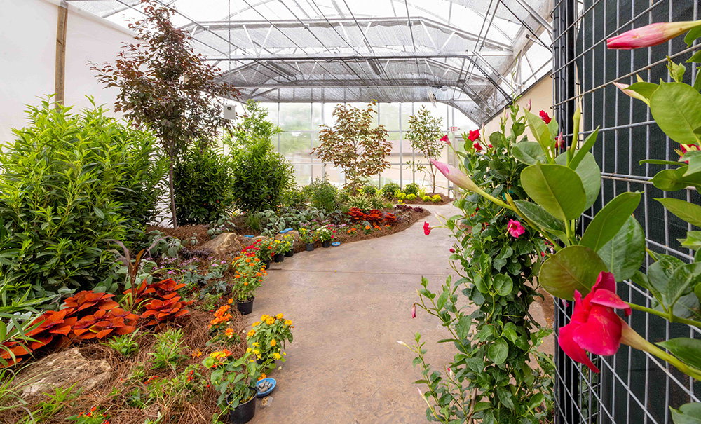 Butterfly House
