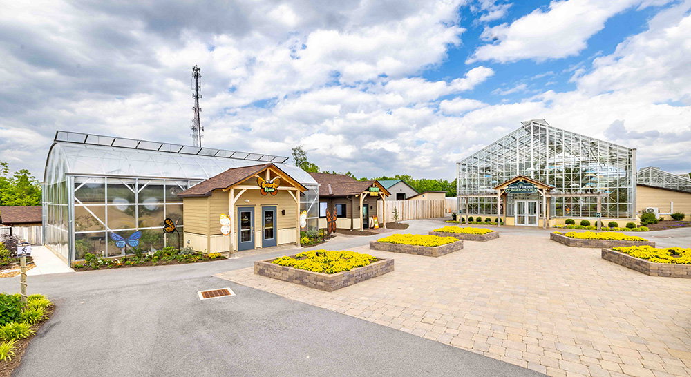 Butterfly House