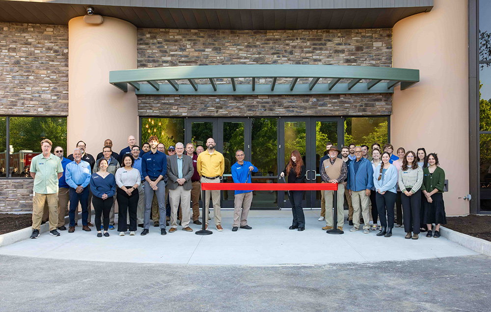 Sprig & Stone Opening