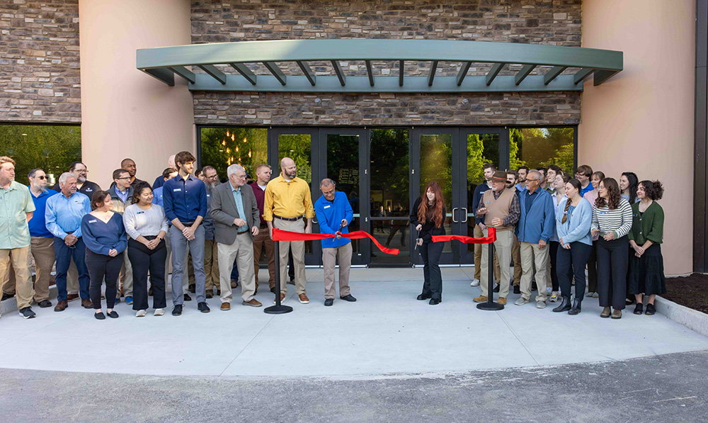 Sprig & Stone Opening