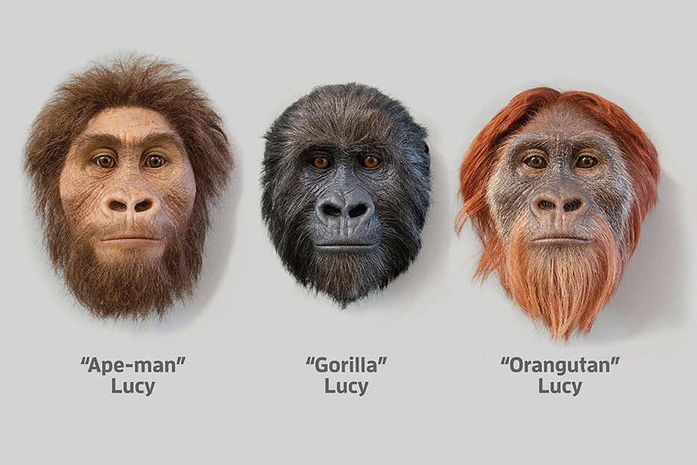 Lucy Head Cast Examples