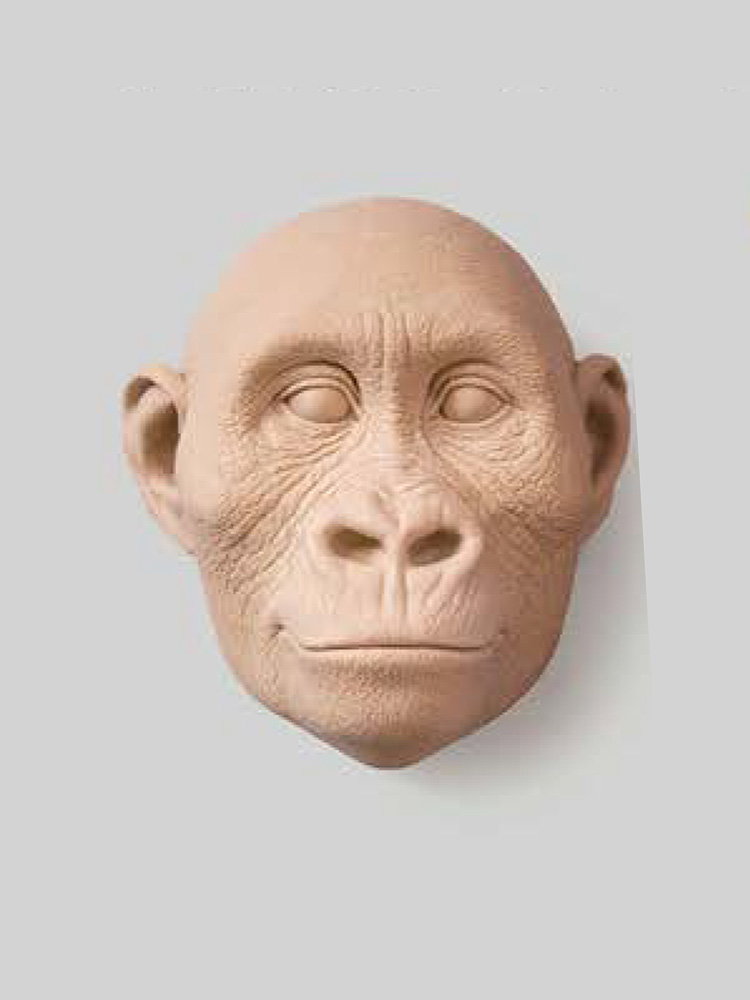 Lucy Head Cast
