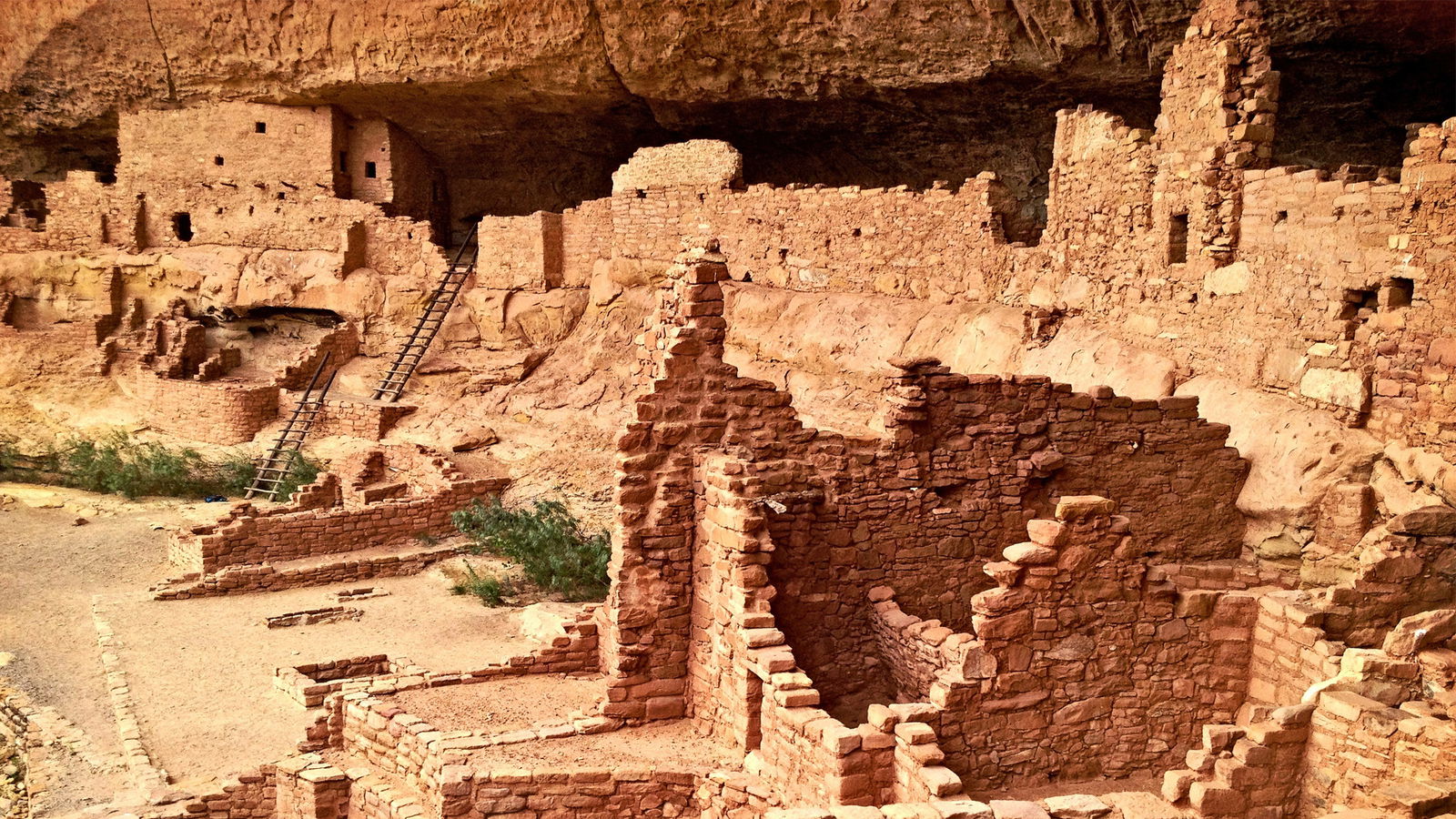 Does Archaeology Confirm the Bible? Creation Museum