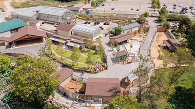 Enjoy Animal Encounters in the Creation Zoo