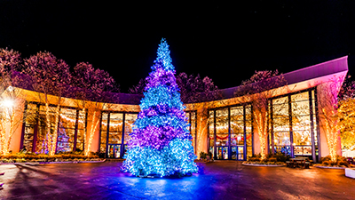 ChristmasTown at the Creation Museum Returns