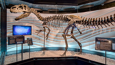 Meet Ebenezer the Allosaurus at the Creation Museum