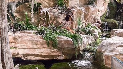 Go Behind the Scenes at the Creation Museum