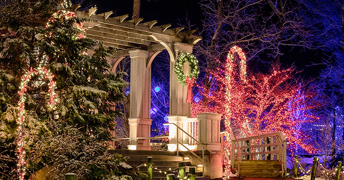 Make the Most of Your Christmas Visit with Our Bouncer Pass Creation Museum
