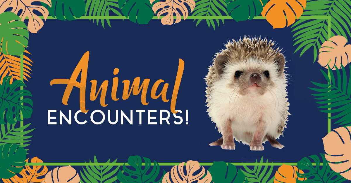 Animal Encounters | Creation Museum