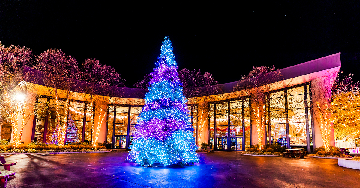 Christmas Is Coming to the Creation Museum Creation Museum