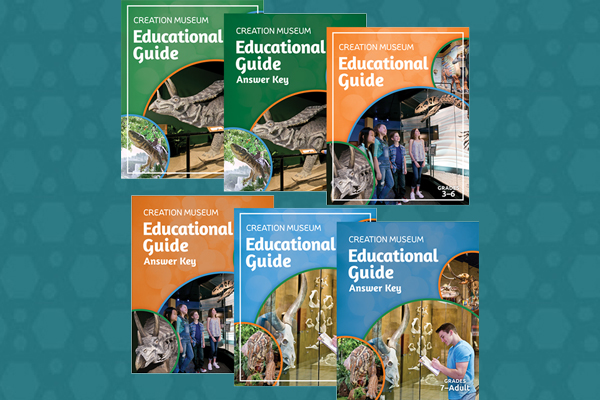 Educational Guides
