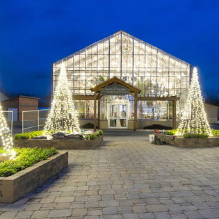 Conservatory with Christmas lights