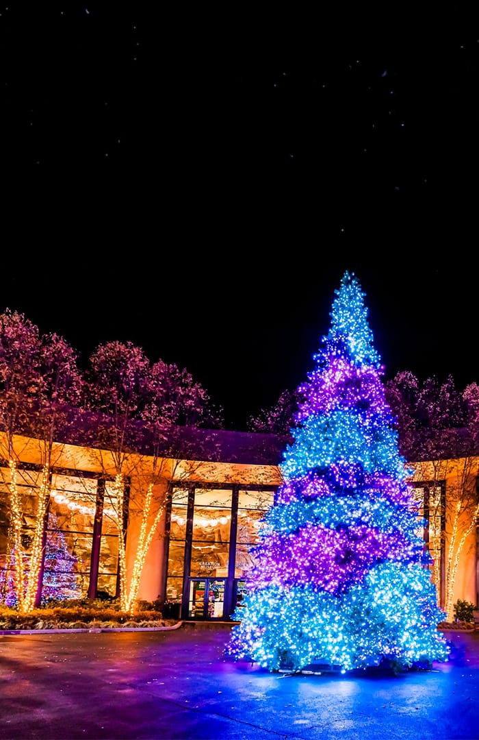 The Creation Musuem with a large Christmas Tree in front