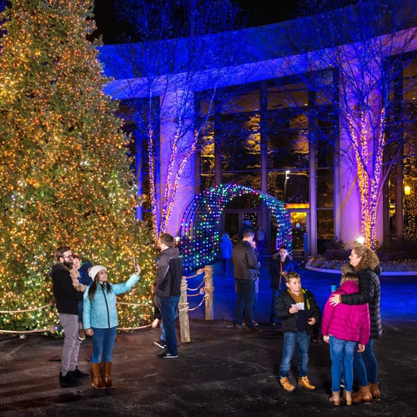 Family around Christmas tree at the Creatiion Museum