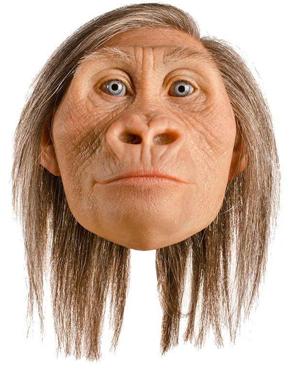 Lucy Australopithecus Reconstruction