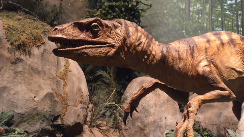 Animatronic Raptor at the Creation Museum