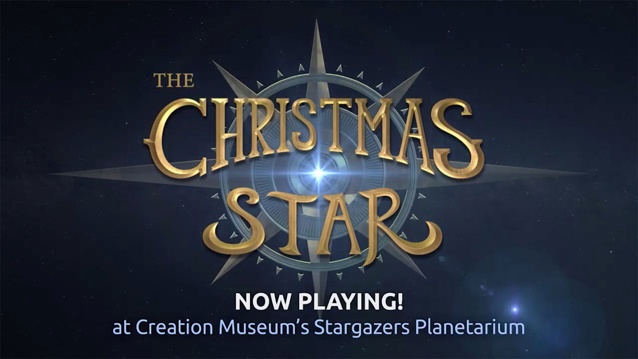 The Christmas Star 4K Promo 2020