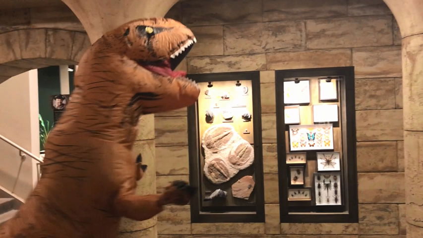 Creation Museum Blog: T-rex Thankful for God’s Creation