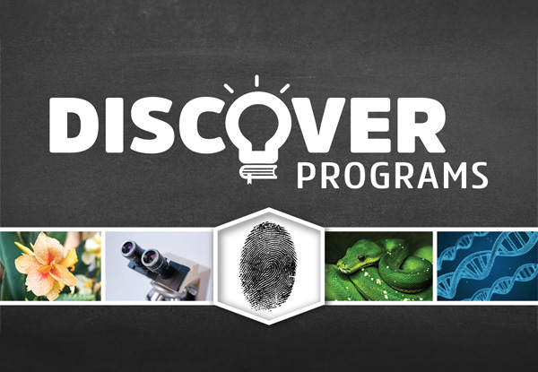 Discover Programs