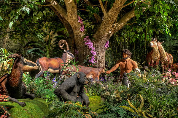 Exhibits | Creation Museum