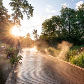 Creation Museum Bridge with plants