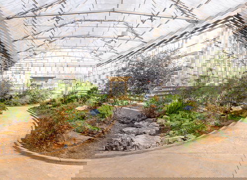 Creation Museum conservatory