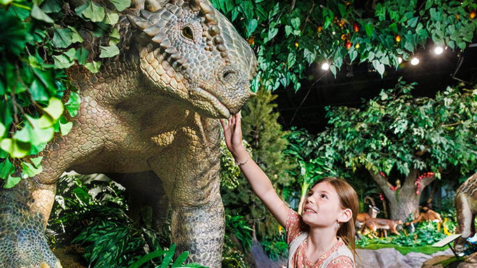 Biblical Archaeology