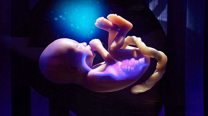 Biblical Archaeology