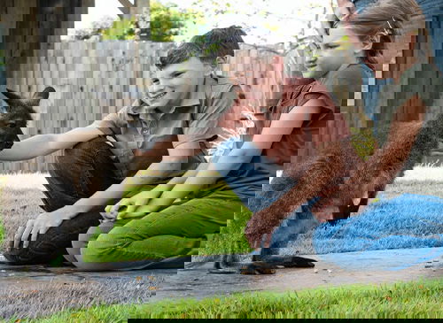 Creation zoo animals