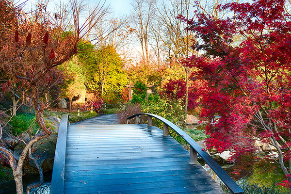 Botanical Gardens | Creation Museum