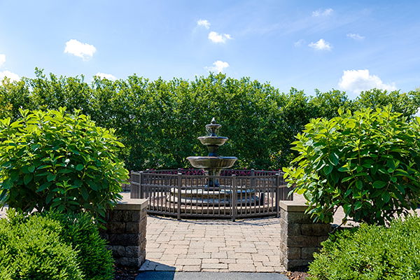 Courtyard Garden