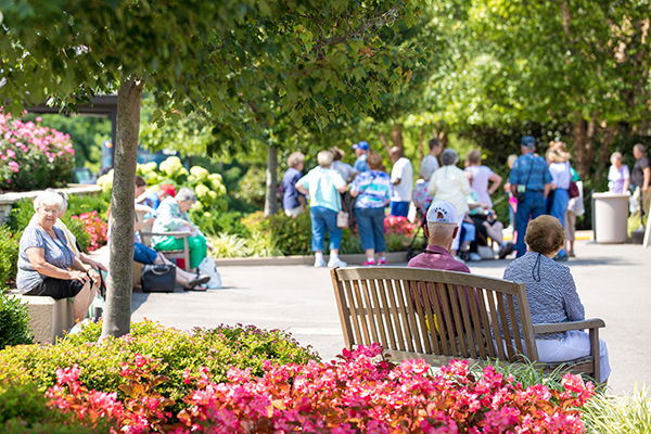 Entrance Garden