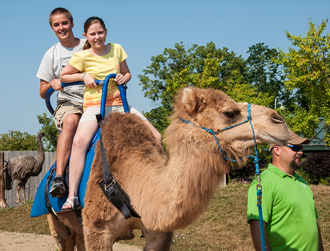 Petting Zoo | Creation Museum | Creation Museum